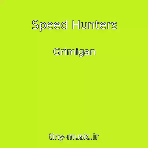 کاور آهنگ Speed Hunters از Grimigan