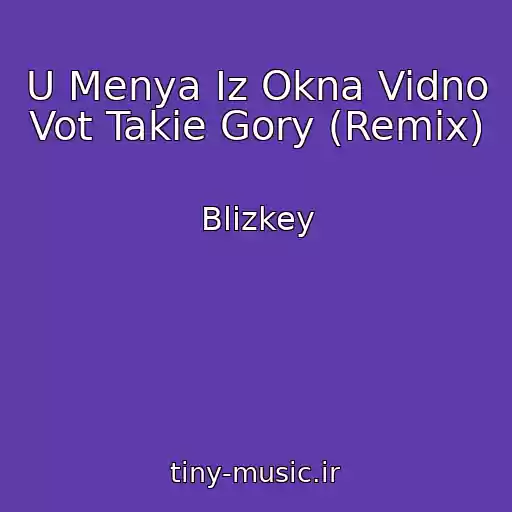 کاور آهنگ U Menya Iz Okna Vidno Vot Takie Gory (Remix) از Blizkey