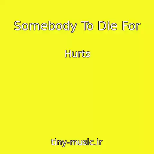 کاور آهنگ Somebody To Die For از Hurts