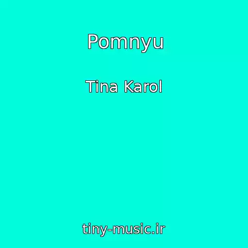 کاور آهنگ Pomnyu از Tina Karol