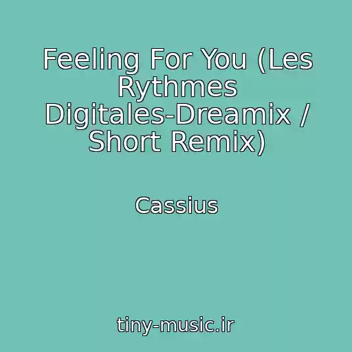 کاور آهنگ Feeling For You (Les Rythmes Digitales-Dreamix / Short Remix) از Cassius