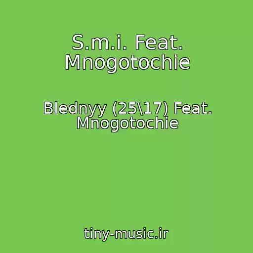 کاور آهنگ S.m.i. Feat. Mnogotochie از Blednyy (25\17) Feat. Mnogotochie