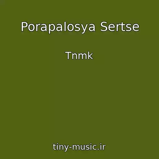 کاور آهنگ Porapalosya Sertse از Tnmk