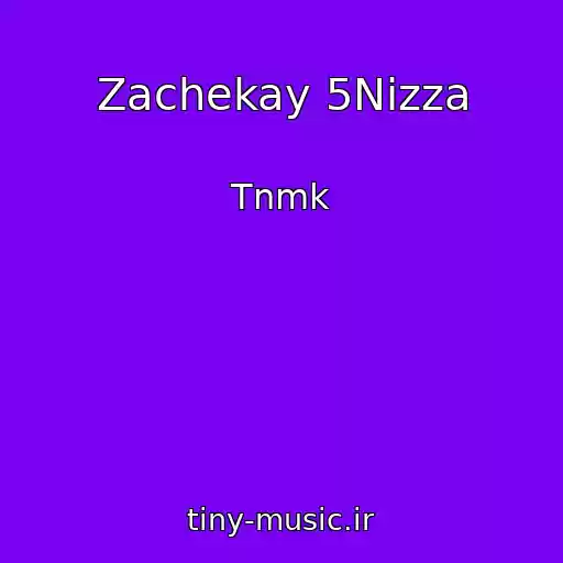 کاور آهنگ Zachekay 5Nizza از Tnmk
