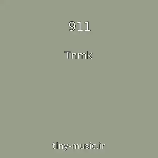کاور آهنگ 911 از Tnmk