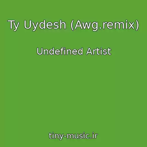 کاور آهنگ Ty Uydesh (Awg.remix) از Undefined Artist