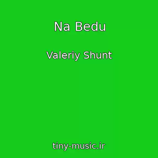 کاور آهنگ Na Bedu از Valeriy Shunt