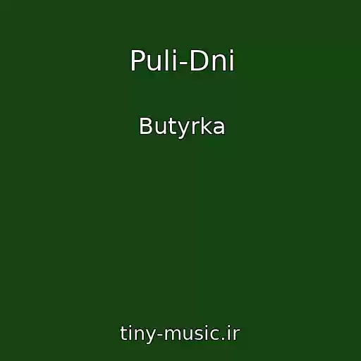 کاور آهنگ Puli-Dni از Butyrka
