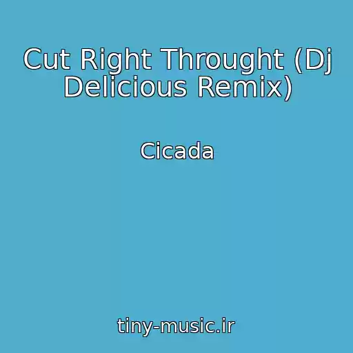 کاور آهنگ Cut Right Throught (Dj Delicious Remix) از Cicada