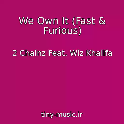 کاور آهنگ We Own It (Fast & Furious) از 2 Chainz Feat. Wiz Khalifa