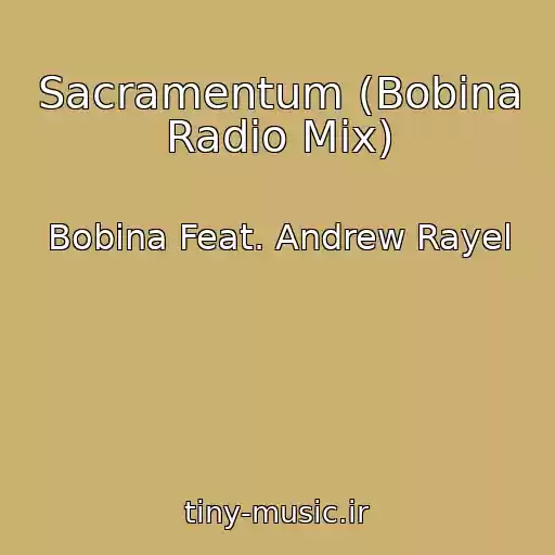 کاور آهنگ Sacramentum (Bobina Radio Mix) از Bobina Feat. Andrew Rayel