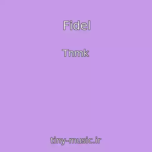 کاور آهنگ Fіdel از Tnmk