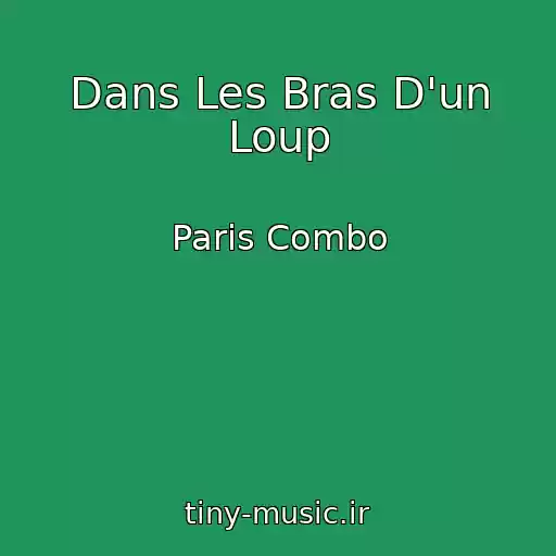 کاور آهنگ Dans Les Bras D'un Loup از Paris Combo