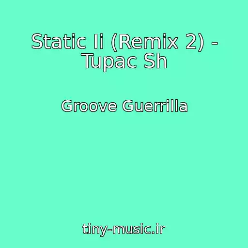 کاور آهنگ Static Ii (Remix 2) - Tupac Sh از Groove Guerrilla