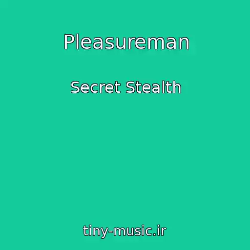 کاور آهنگ Pleasureman از Secret Stealth