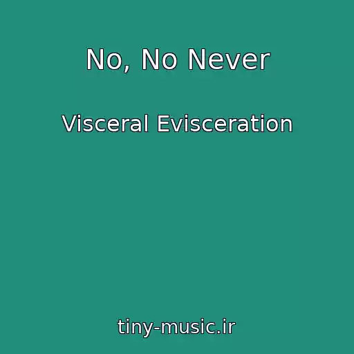 کاور آهنگ No, No Never از Visceral Evisceration