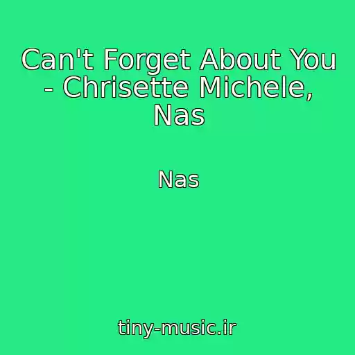 کاور آهنگ Can't Forget About You - Chrisette Michele, Nas از Nas