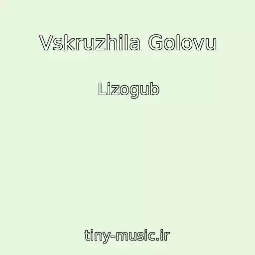 کاور آهنگ Vskruzhila Golovu از Lizogub