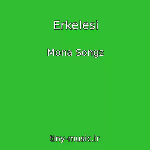 کاور آهنگ Erkelesi از Mona Songz