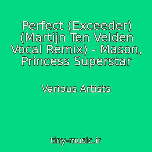کاور آهنگ Perfect (Exceeder) (Martijn Ten Velden Vocal Remix) - Mason, Princess Superstar از Various Artists