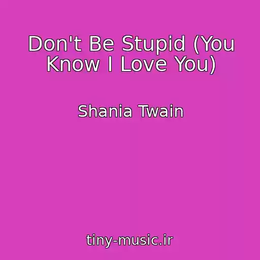 کاور آهنگ Don't Be Stupid (You Know I Love You) از Shania Twain