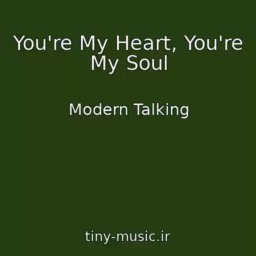 کاور آهنگ You're My Heart, You're My Soul از Modern Talking