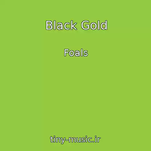 کاور آهنگ Black Gold از Foals