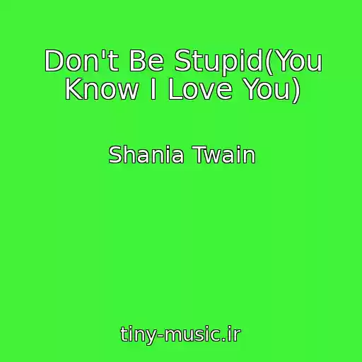 کاور آهنگ Don't Be Stupid(You Know I Love You) از Shania Twain