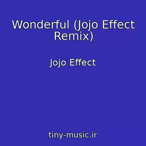 کاور آهنگ Wonderful (Jojo Effect Remix) از Jojo Effect