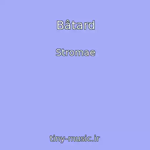 کاور آهنگ Bâtard از Stromae