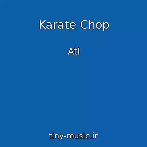 کاور آهنگ Karate Chop از Atl