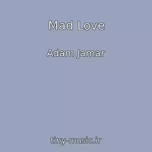 کاور آهنگ Mad Love از Adam Jamar