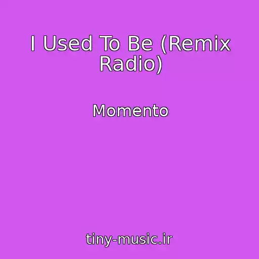 کاور آهنگ I Used To Be (Remix Radio) از Momento