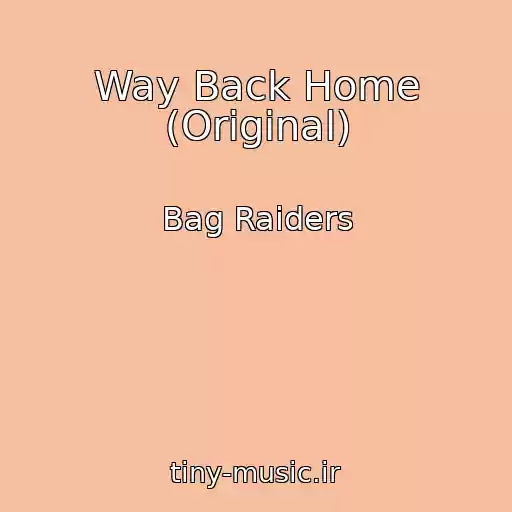 کاور آهنگ Way Back Home (Original) از Bag Raiders