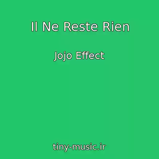 کاور آهنگ Il Ne Reste Rien از Jojo Effect