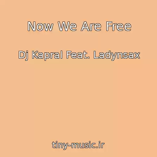 کاور آهنگ Now We Are Free از Dj Kapral Feat. Ladynsax