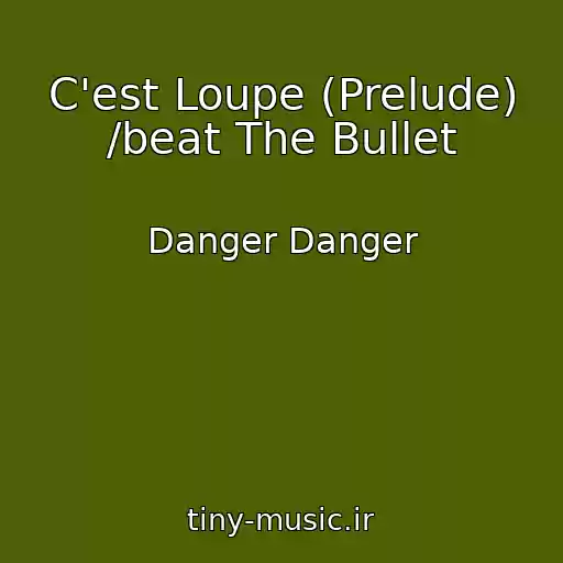 کاور آهنگ C'est Loupe (Prelude) /beat The Bullet از Danger Danger