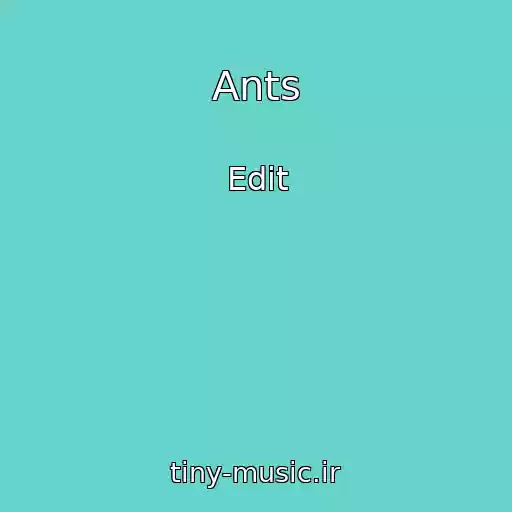 کاور آهنگ Ants از Edit