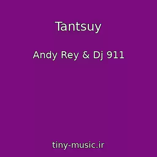 کاور آهنگ Tantsuy از Andy Rey & Dj 911