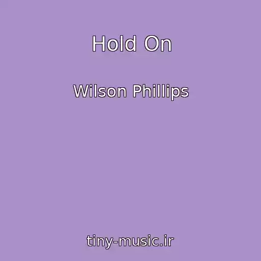 کاور آهنگ Hold On از Wilson Phillips