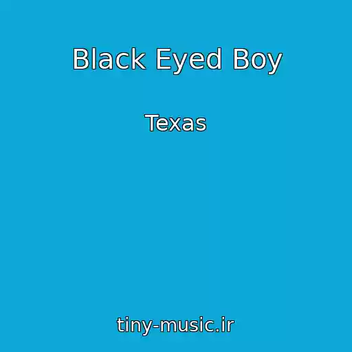 کاور آهنگ Black Eyed Boy از Texas
