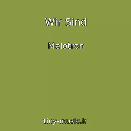 کاور آهنگ Wir Sind از Melotron