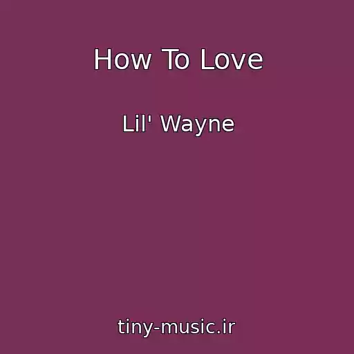 کاور آهنگ How To Love از Lil' Wayne