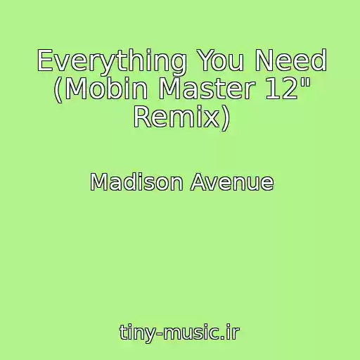 کاور آهنگ Everything You Need (Mobin Master 12" Remix) از Madison Avenue