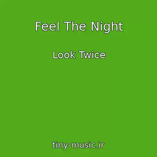 کاور آهنگ Feel The Night از Look Twice