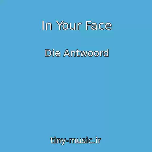 کاور آهنگ In Your Face از Die Antwoord