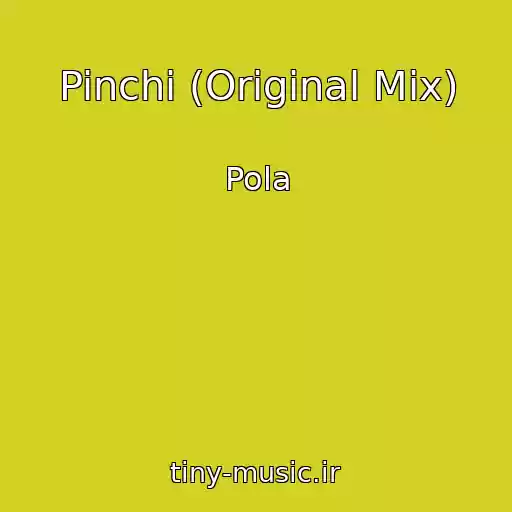 کاور آهنگ Pinchi (Original Mix) از Pola