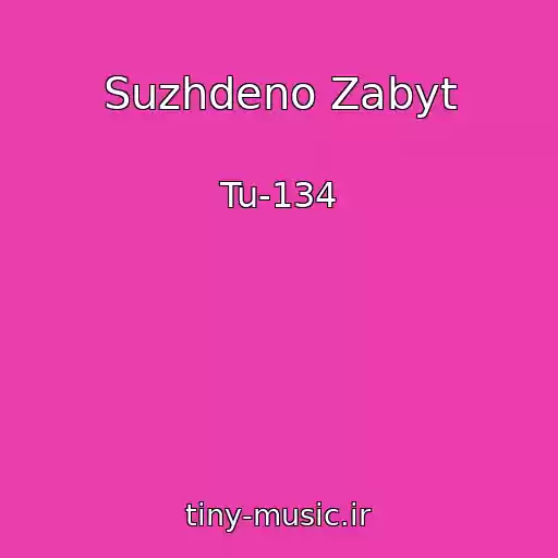 کاور آهنگ Suzhdeno Zabyt از Tu-134