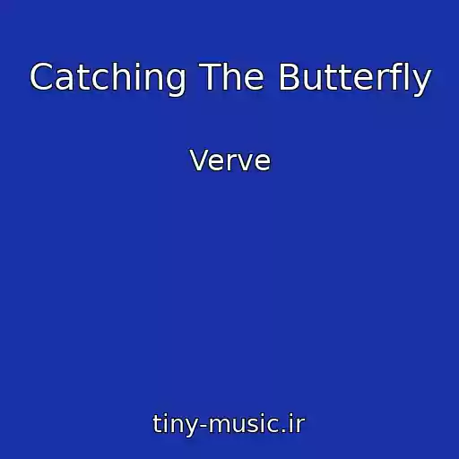 کاور آهنگ Catching The Butterfly از Verve
