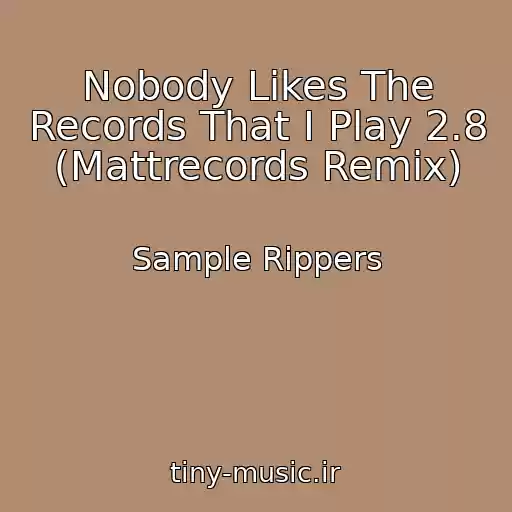 کاور آهنگ Nobody Likes The Records That I Play 2.8 (Mattrecords Remix) از Sample Rippers